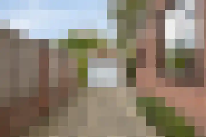 Sint Genovevastraat 44 Son en Breugel thumbnail 33