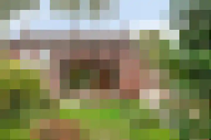 Sint Genovevastraat 44 Son en Breugel thumbnail 34