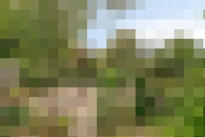 Sint Genovevastraat 44 Son en Breugel thumbnail 35