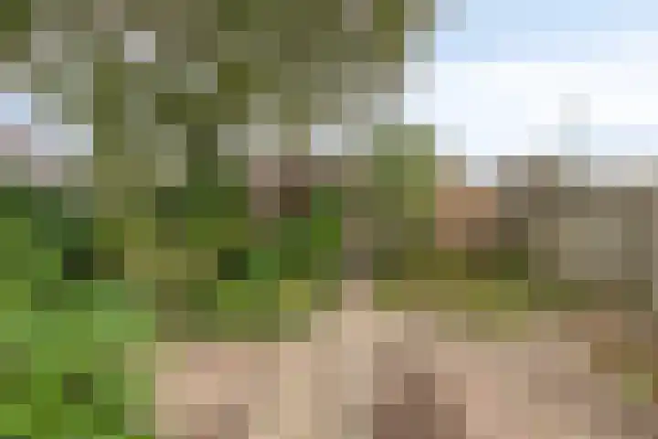 Sint Genovevastraat 44 Son en Breugel thumbnail 36