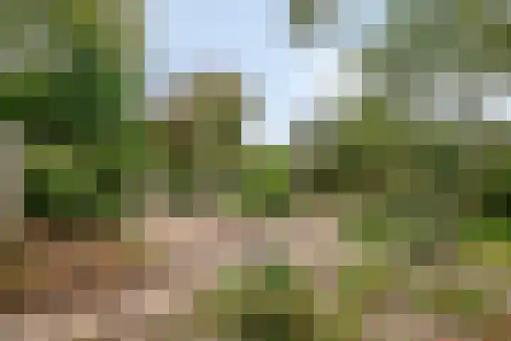 Sint Genovevastraat 44 Son en Breugel thumbnail 37