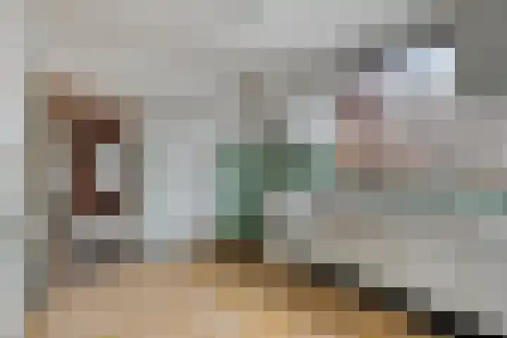 Sint Genovevastraat 44 Son en Breugel thumbnail 4