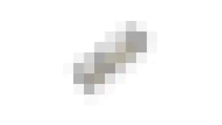 Sint Genovevastraat 44 Son en Breugel thumbnail 55