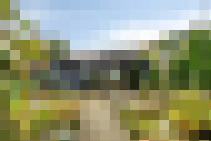 Sint Gerardusstraat 103 Emmen thumbnail 42