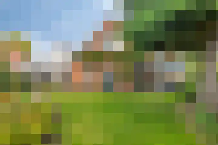 Sint Gerardusstraat 103 Emmen thumbnail 45