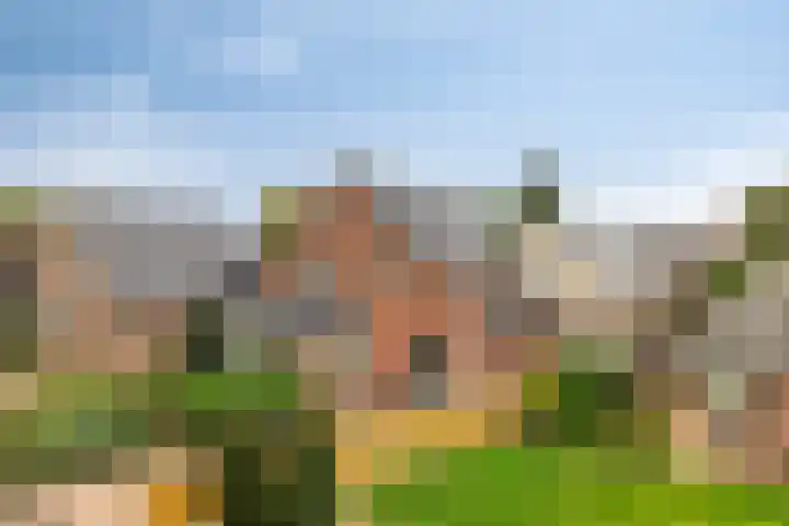 Sint Gerardusstraat 103 Emmen thumbnail 7