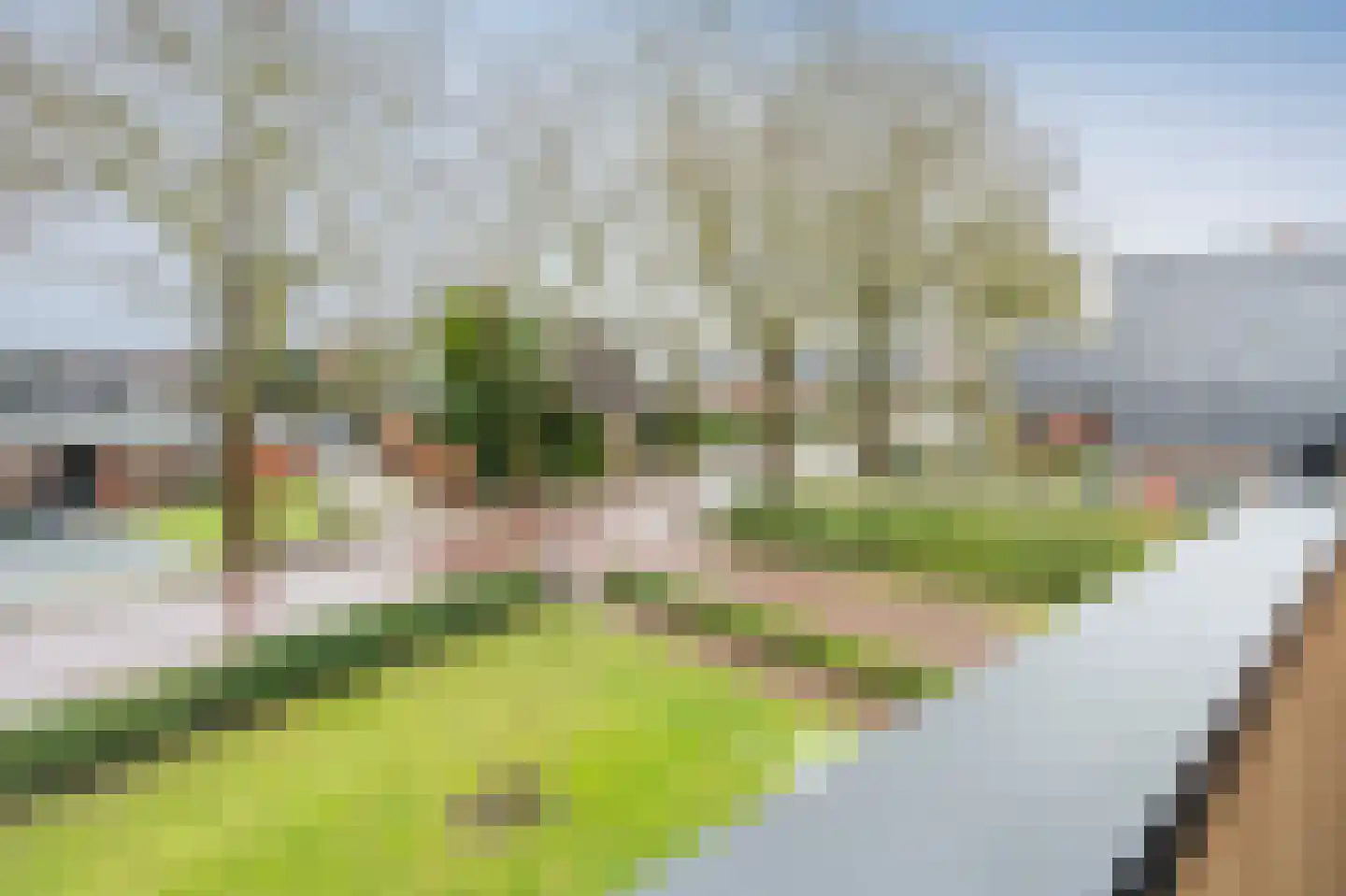 Sint Gerardusstraat 124 F Emmen thumbnail 27
