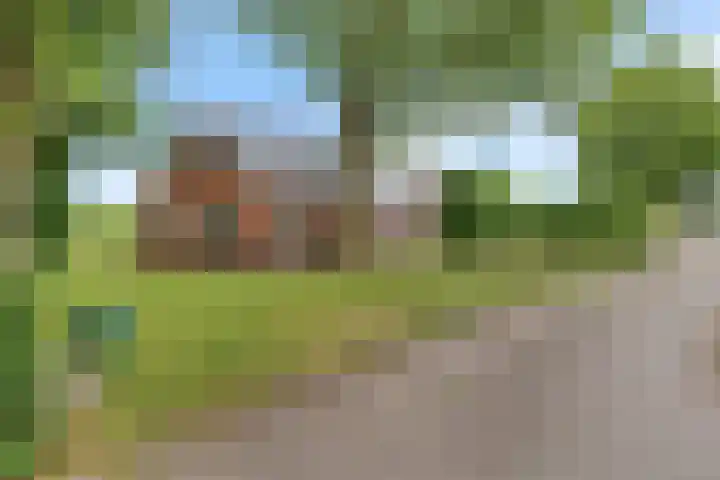 Sint Gerardusstraat 160 Emmen thumbnail 32