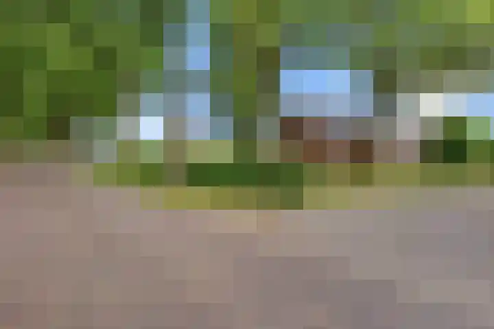 Sint Gerardusstraat 160 Emmen thumbnail 33