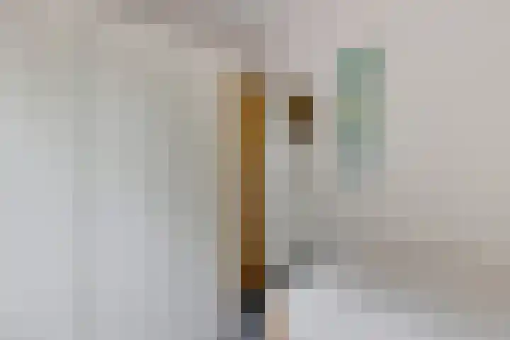 Sint Gerardusstraat 236 Emmen thumbnail 12