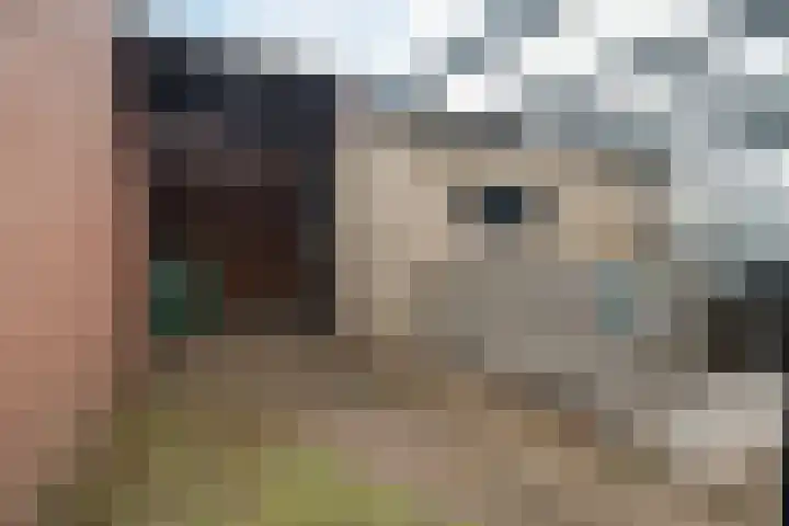 Sint Gerardusstraat 33 Emmen thumbnail 33