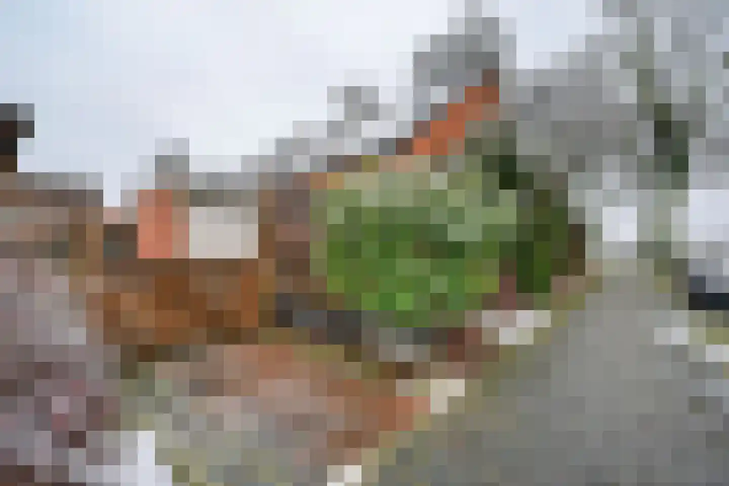 Sint Gerardusstraat 55 Emmen thumbnail 31