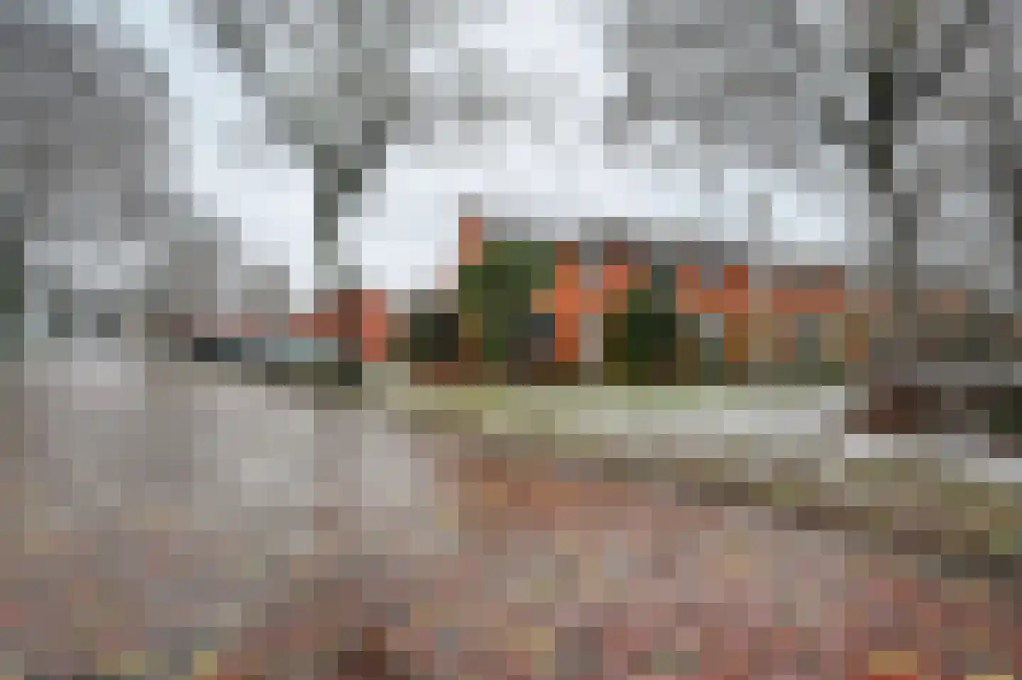 Sint Gerardusstraat 55 Emmen thumbnail 32