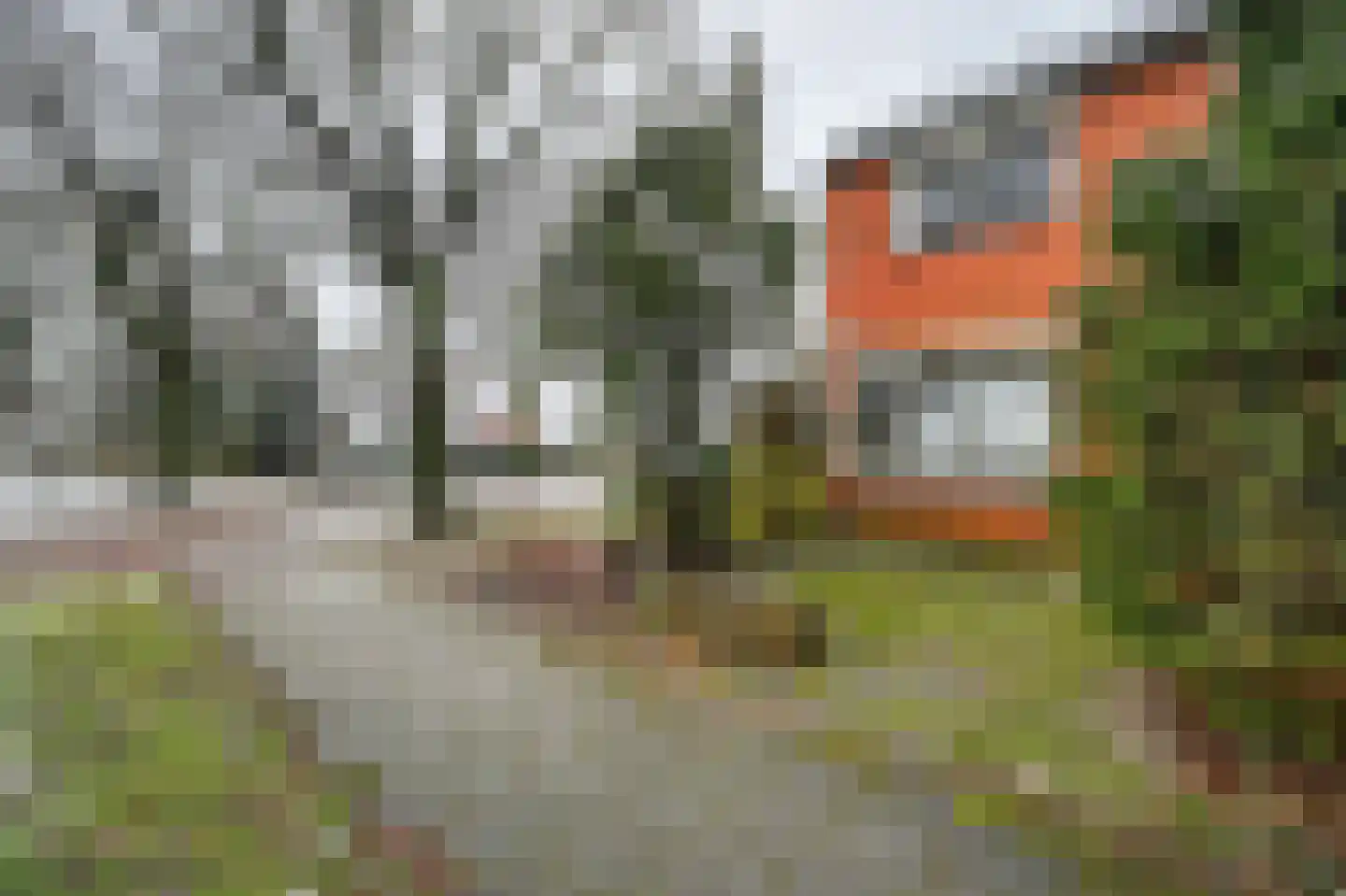 Sint Gerardusstraat 55 Emmen thumbnail 33