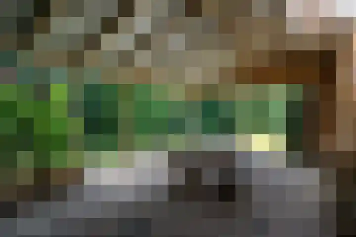 Sint Gerardusstraat 65 Emmen thumbnail 31