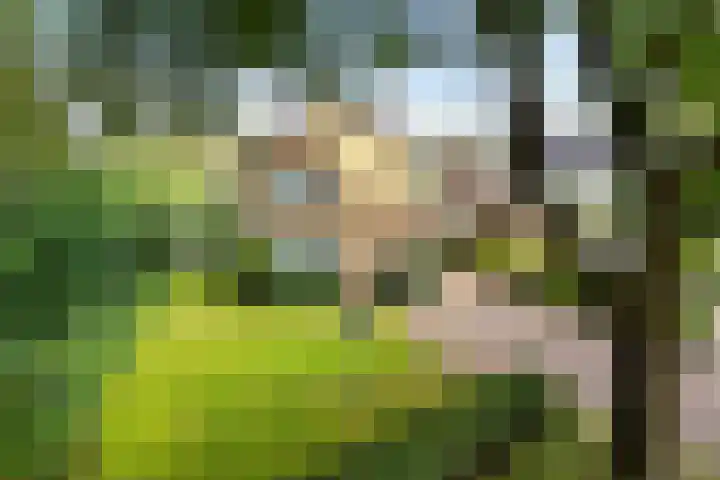 Sint Gerardusstraat 65 Emmen thumbnail 40