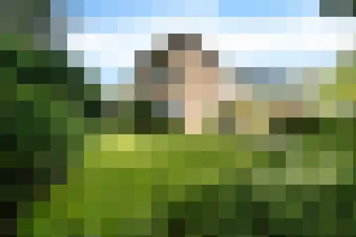 Sint Gerardusstraat 65 Emmen thumbnail 41
