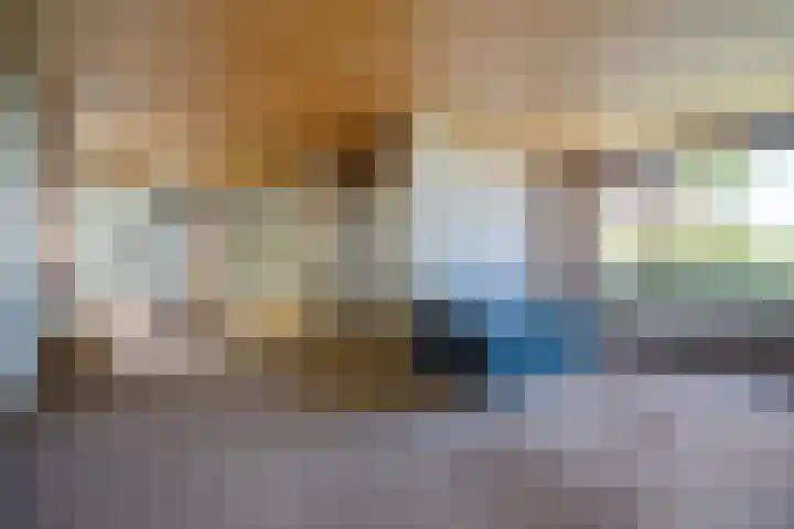 Sint Gerardusstraat 65 Emmen thumbnail 8