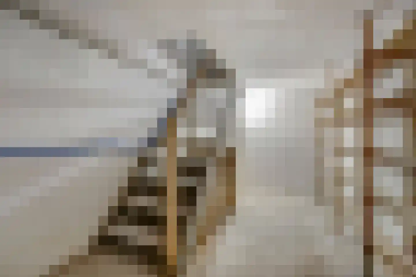 Sint Gerardusstraat 8 Nederweert-Eind thumbnail 30