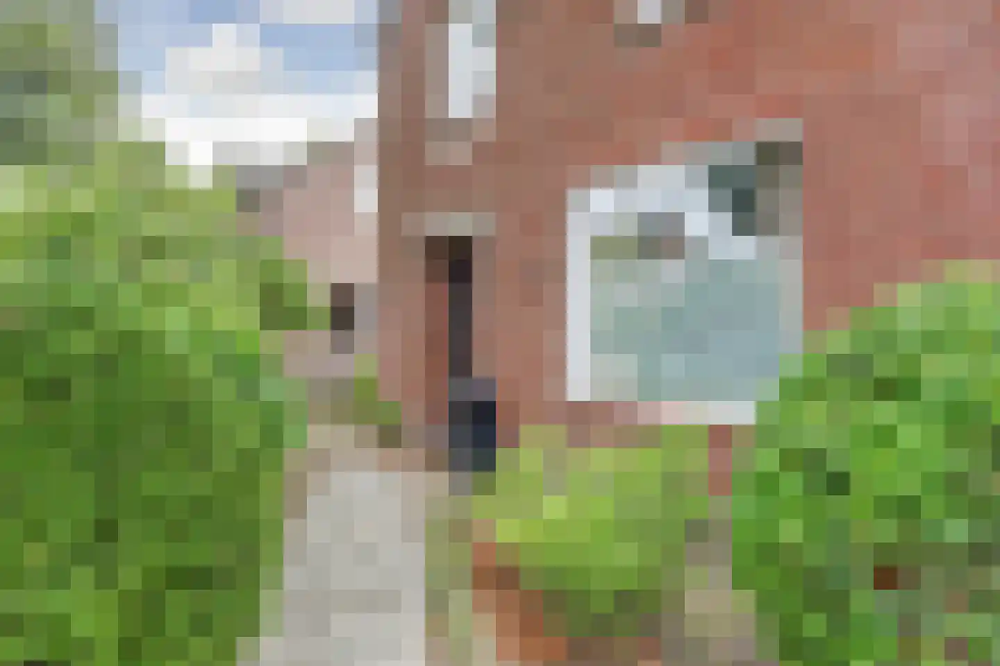Sint Gerardusstraat 8 Nederweert-Eind thumbnail 6