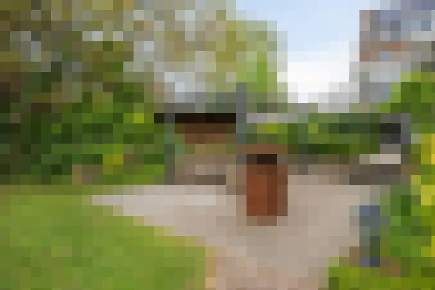 Sint Gerlach 7 Valkenburg thumbnail 35