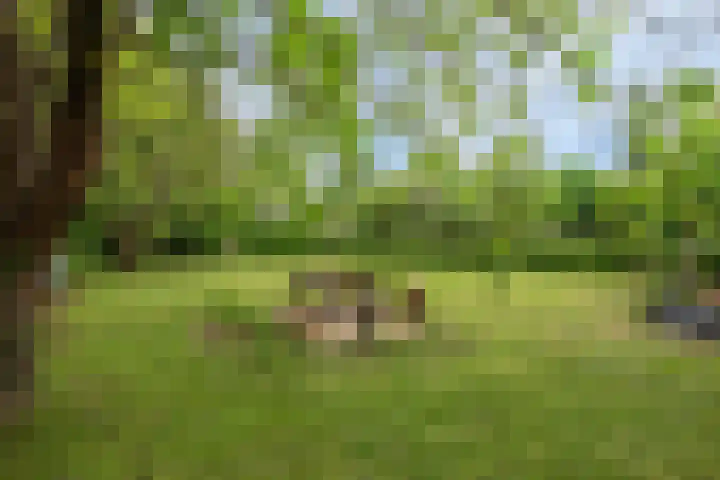 Sint Gerlach 7 Valkenburg thumbnail 42