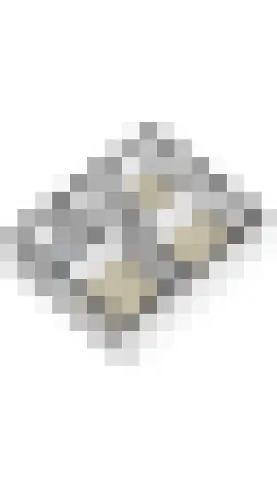 Sint Gerlach 7 Valkenburg thumbnail 74