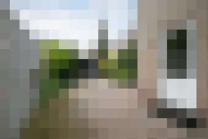 Sint Gerlachstraat 12 Valkenburg thumbnail 23