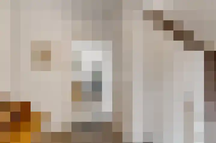 Sint Gerlachusstraat 14 Banholt thumbnail 5