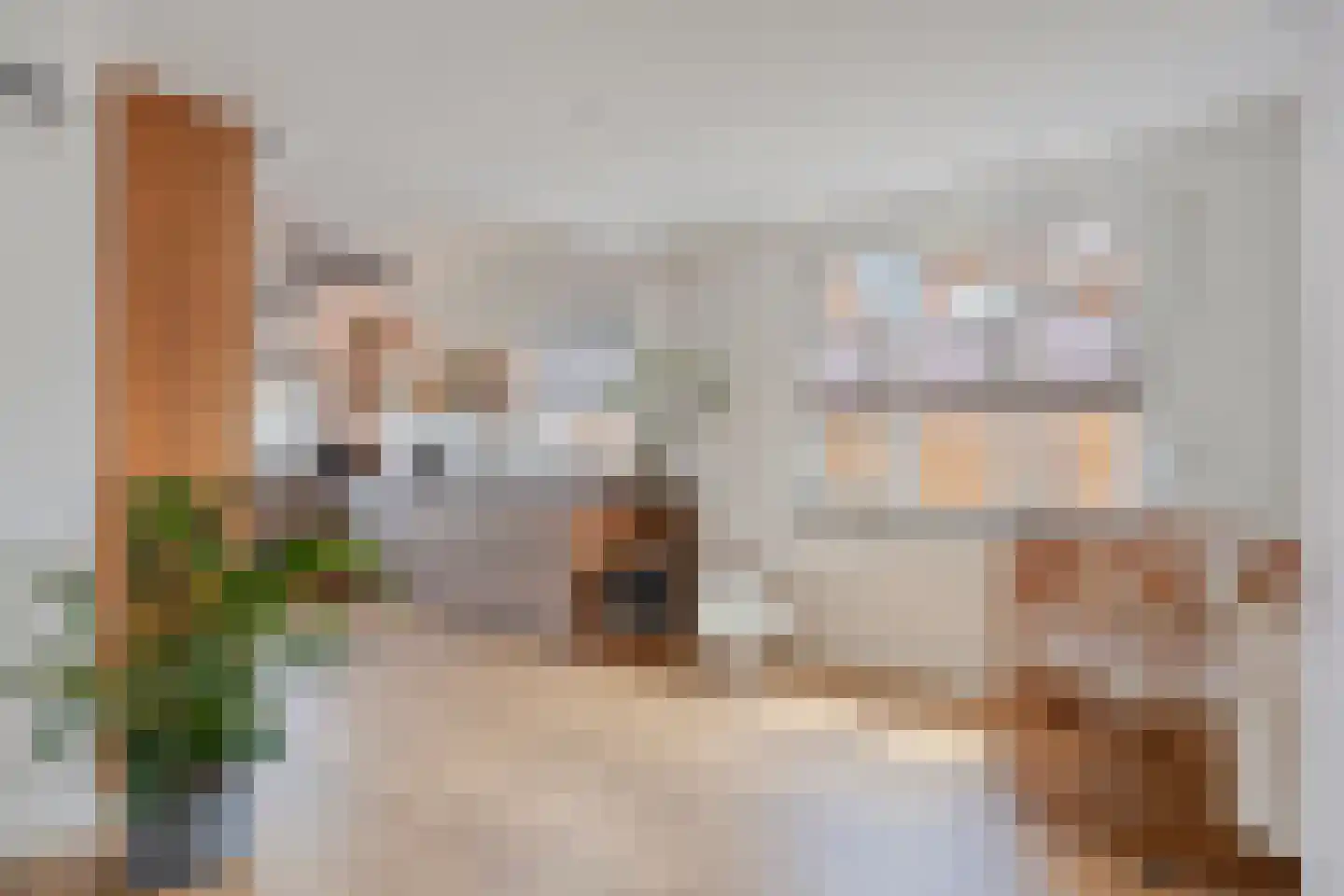 Sint Gertrudisstraat 19 Maasbracht thumbnail 9