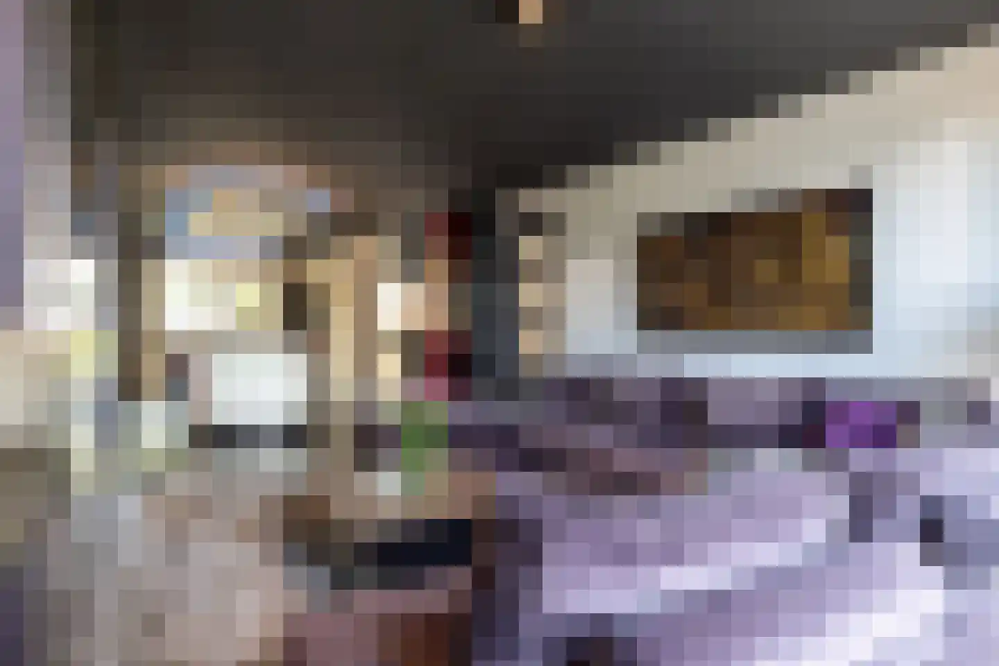 Sint Gertrudisstraat 2 Maasbracht thumbnail 11