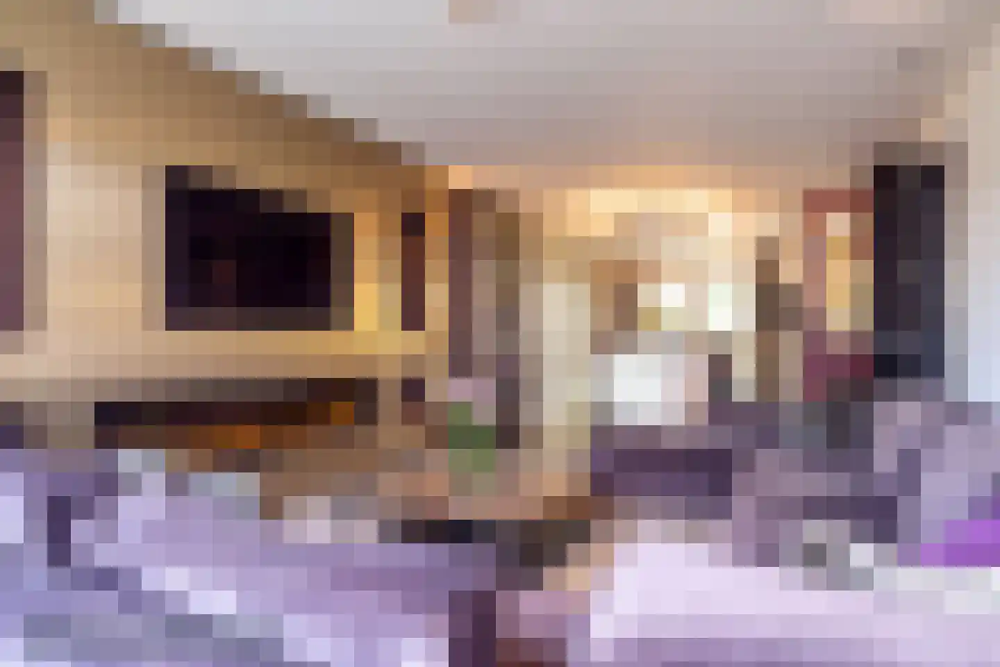 Sint Gertrudisstraat 2 Maasbracht thumbnail 21