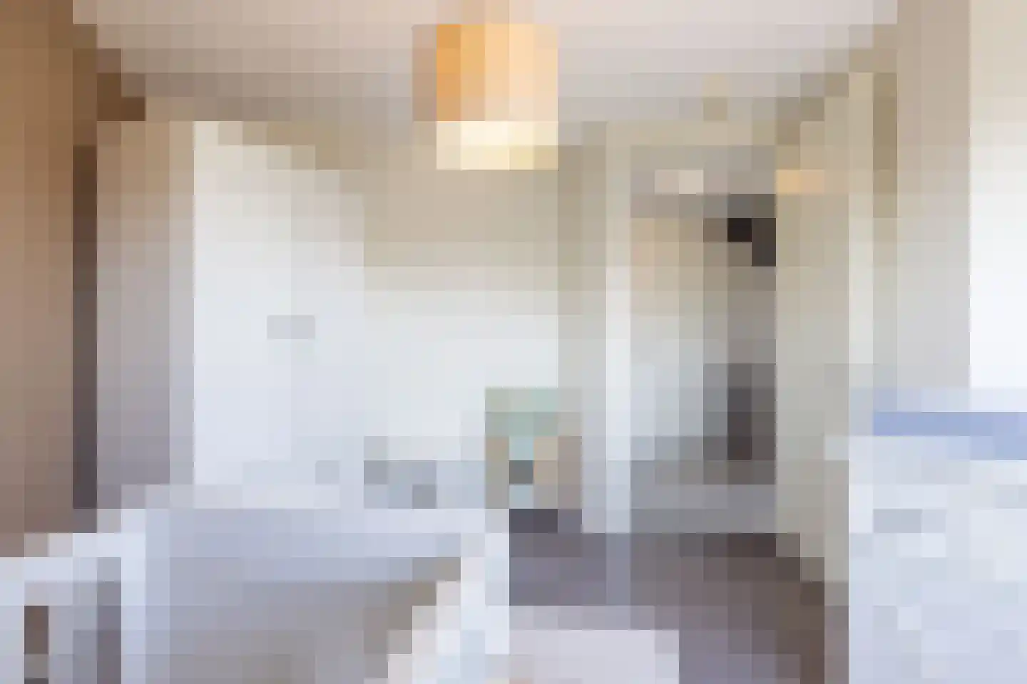 Sint Gertrudisstraat 2 Maasbracht thumbnail 35