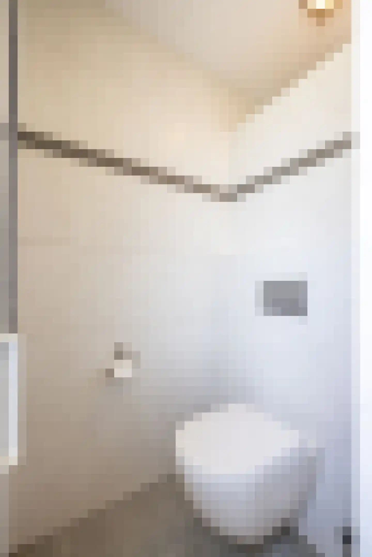 Sint Gertrudisstraat 2 Maasbracht thumbnail 38