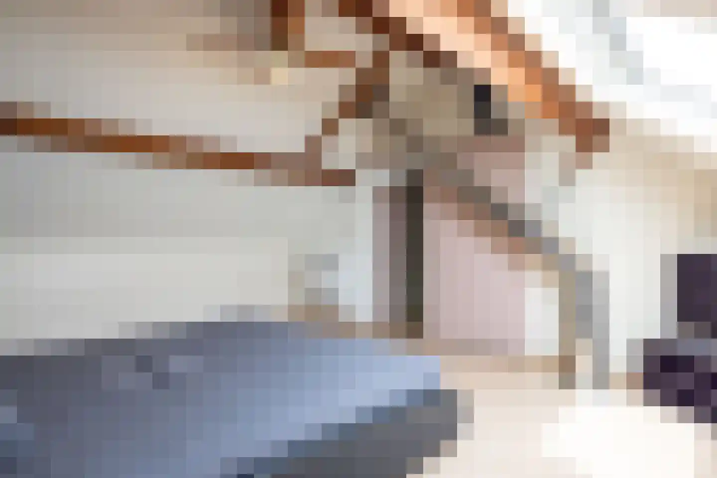 Sint Gertrudisstraat 2 Maasbracht thumbnail 40