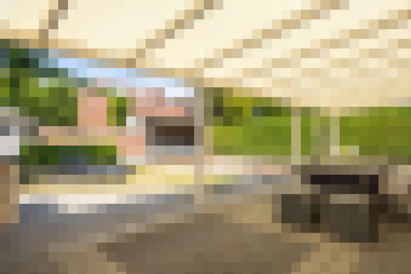 Sint Gertrudisstraat 2 Maasbracht thumbnail 45