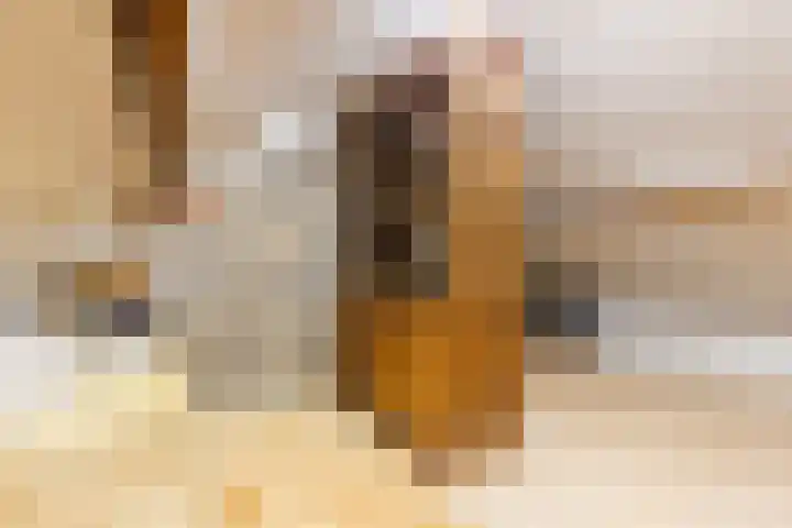 Sint Gertrudisstraat 38 Maasbracht thumbnail 33