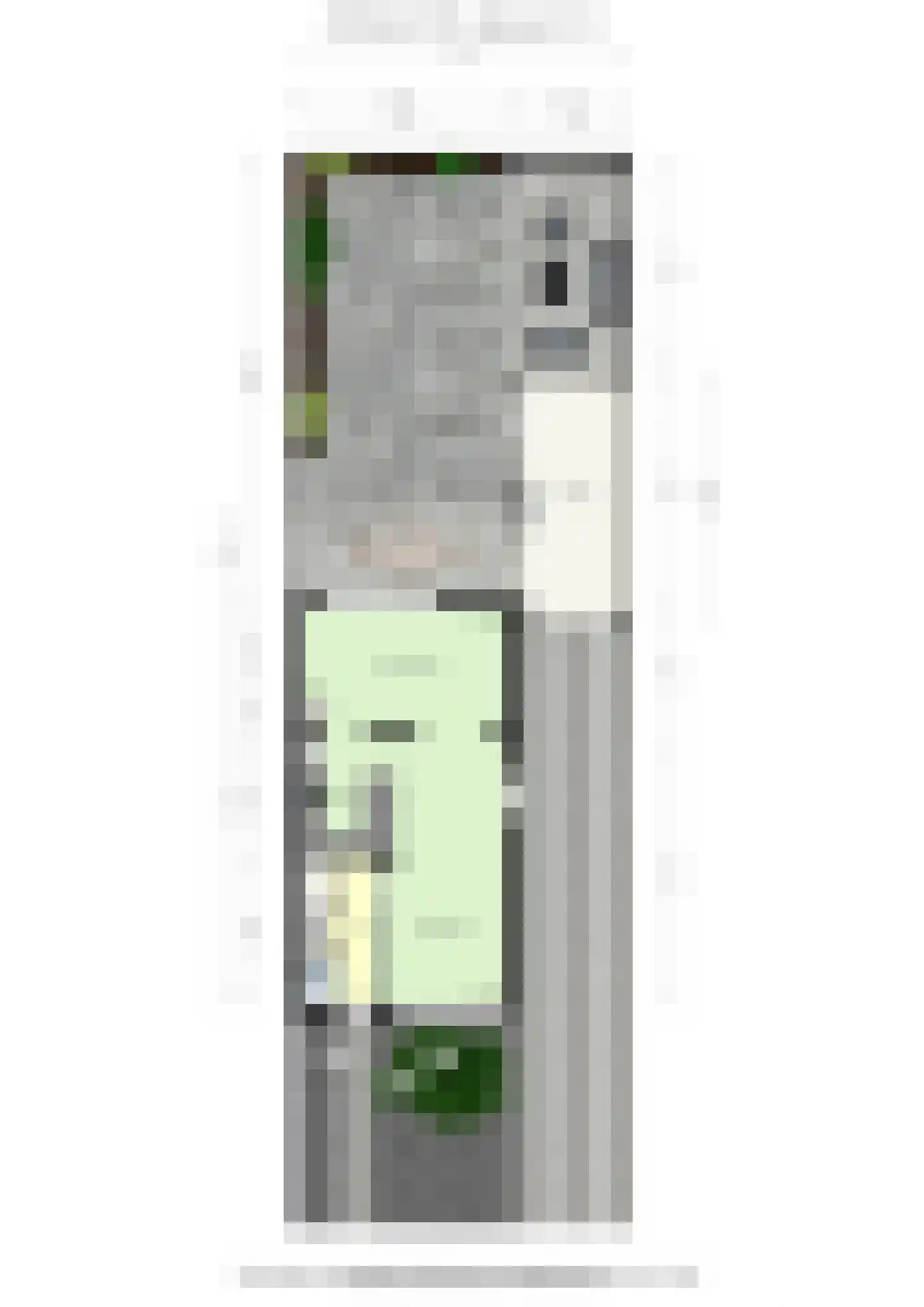 Sint Gillisstraat 12 Elsloo thumbnail 40