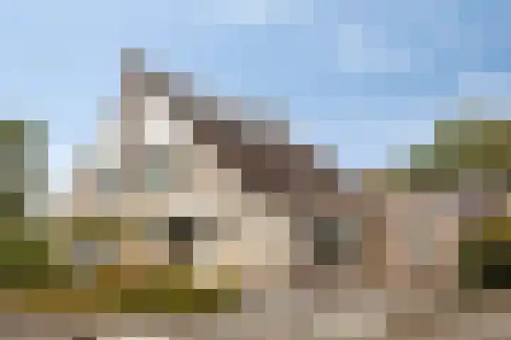 Sint Gregoriusweg 3 Epe