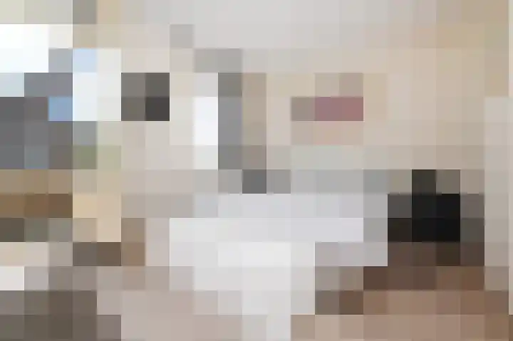 Sint Helena 8 Zoetermeer thumbnail 32