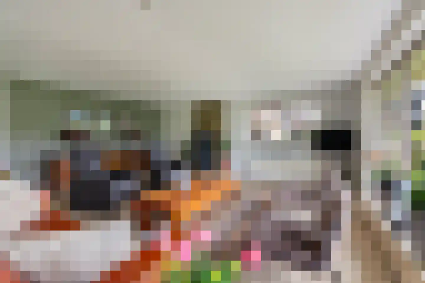 Sint Helenahof 30 Harkstede thumbnail 14