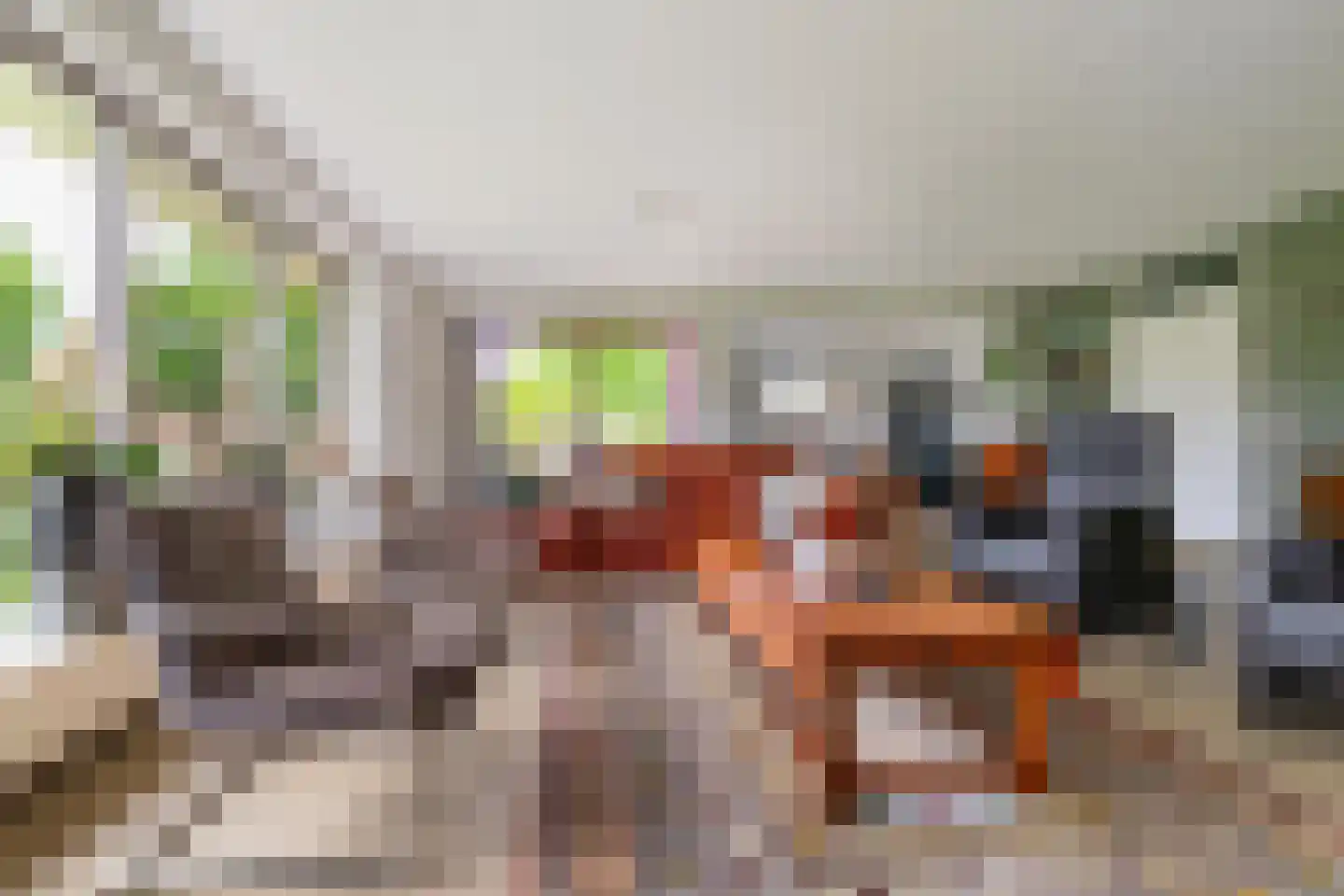 Sint Helenahof 30 Harkstede thumbnail 16
