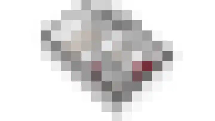 Sint Hieronymusstraat 10 Weert thumbnail 32