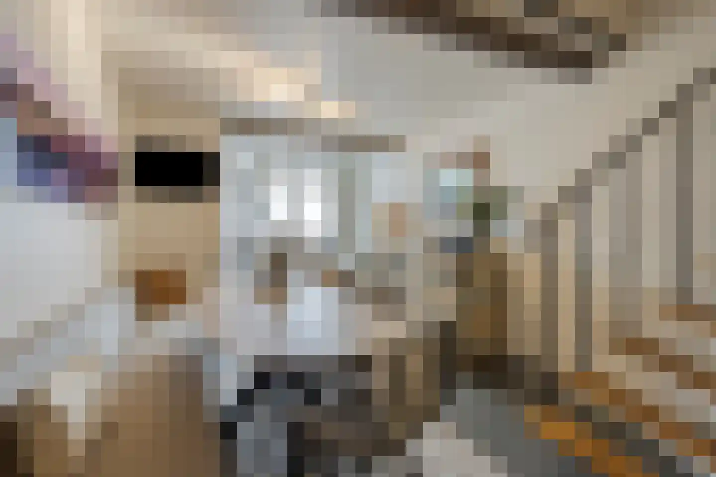 Sint Hilariusstraat 10 Maastricht thumbnail 6