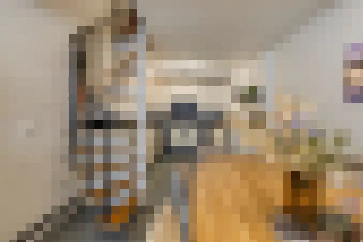 Sint Hilariusstraat 10 Maastricht thumbnail 8
