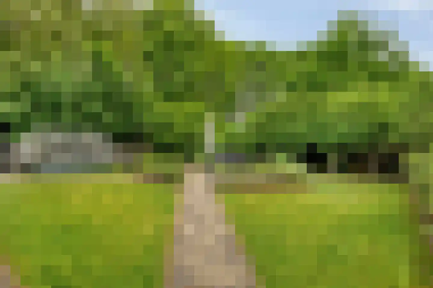 Sint Hubertse Binnenweg 35 Sint Hubert thumbnail 38