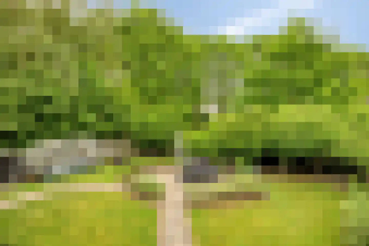 Sint Hubertse Binnenweg 35 Sint Hubert thumbnail 39