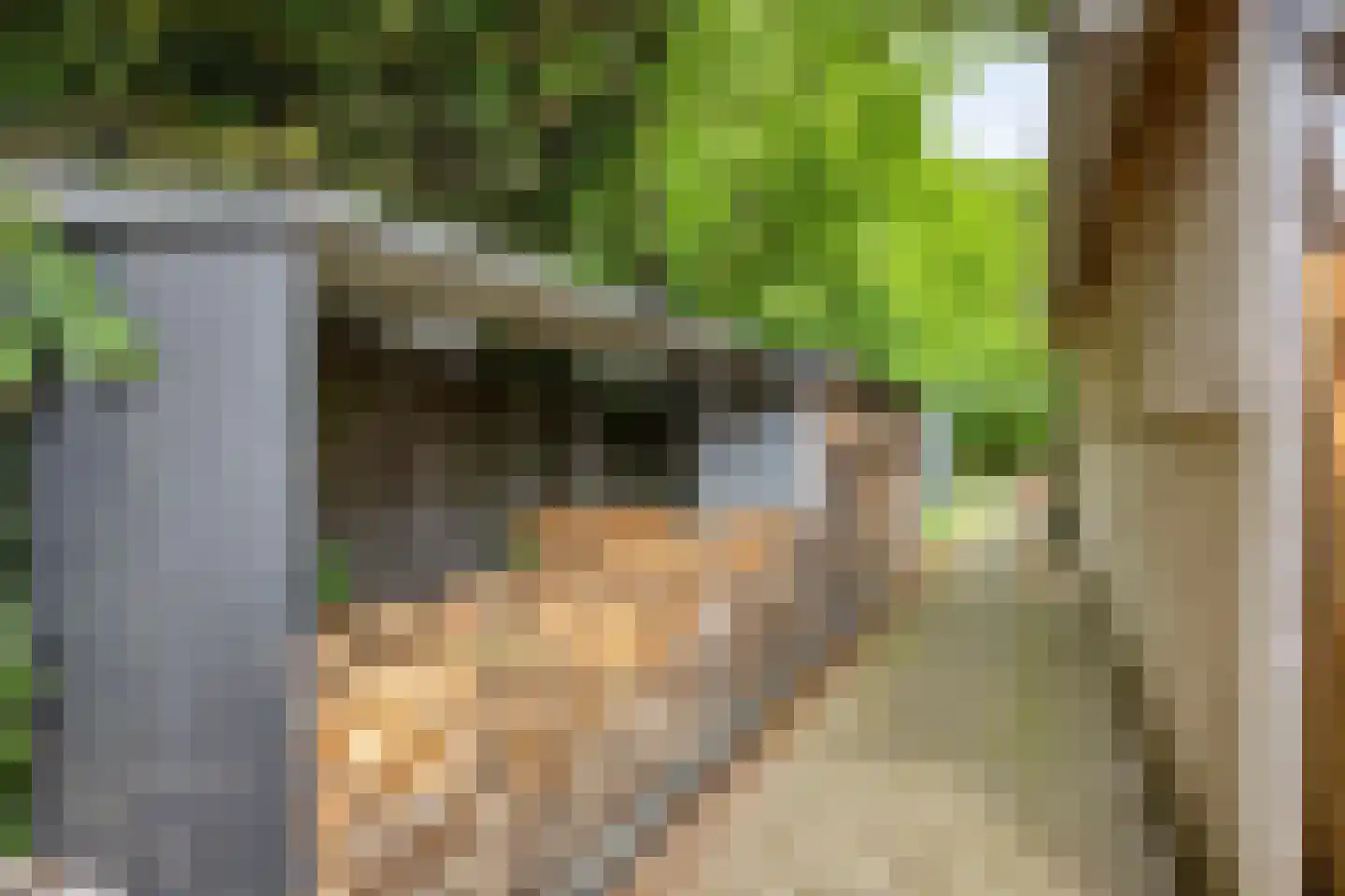 Sint Hubertse Binnenweg 35 Sint Hubert thumbnail 43