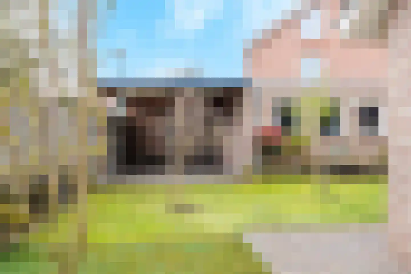 Sint Hubertse Binnenweg 56 Sint Hubert thumbnail 32
