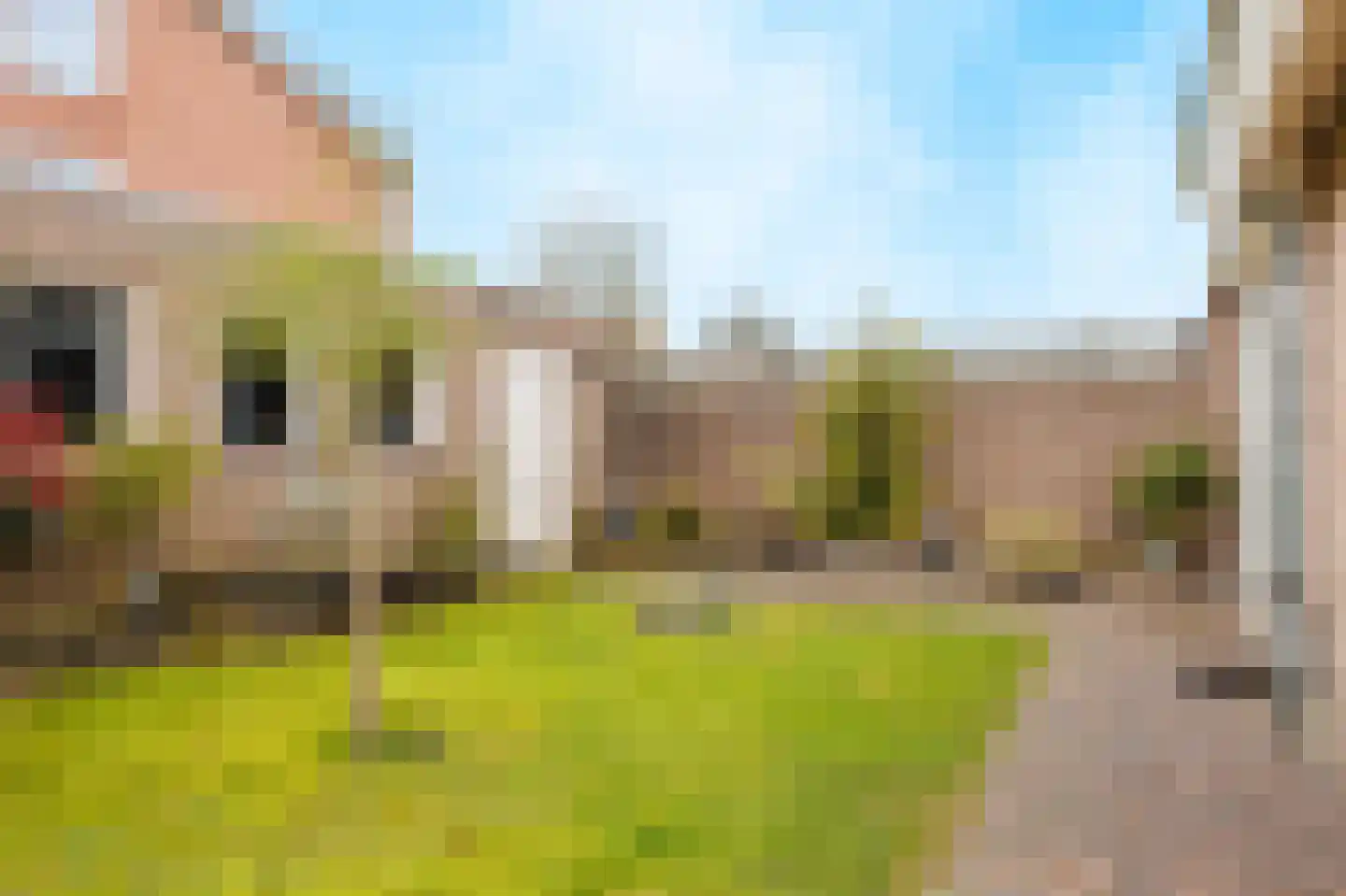 Sint Hubertse Binnenweg 56 Sint Hubert thumbnail 33